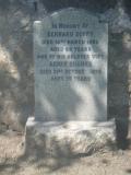 image of grave number 51776